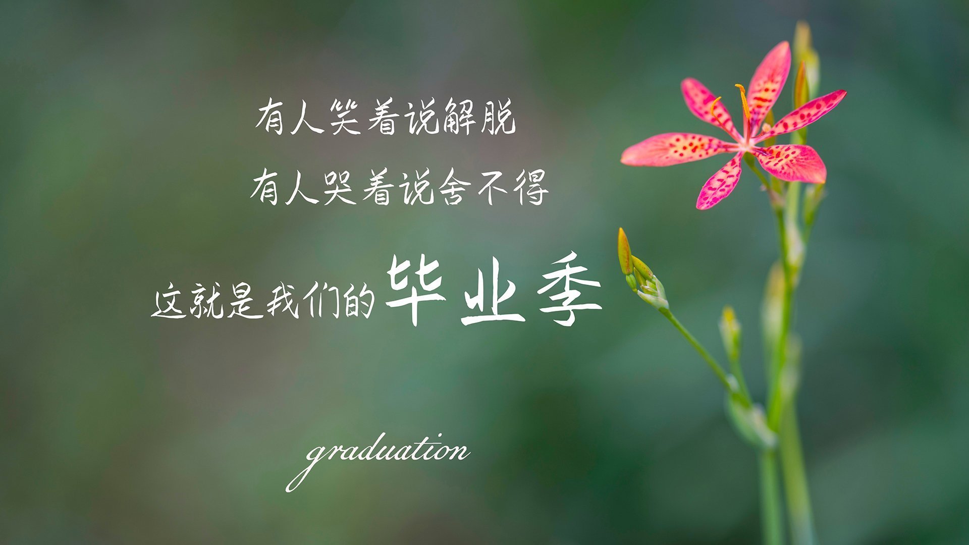 “篮球历史上最震撼的五大经典逆转”,nba逆袭的篮球巨星