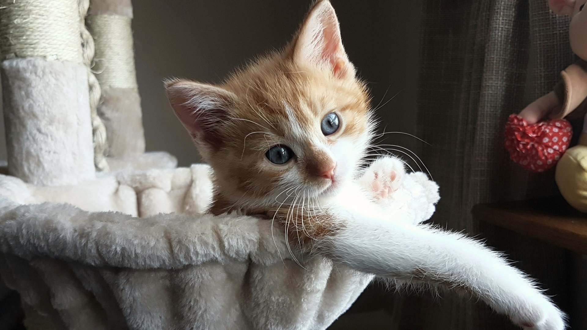 中超南北大战火花四溅,球迷场外热情助威,中超北方球队有哪些