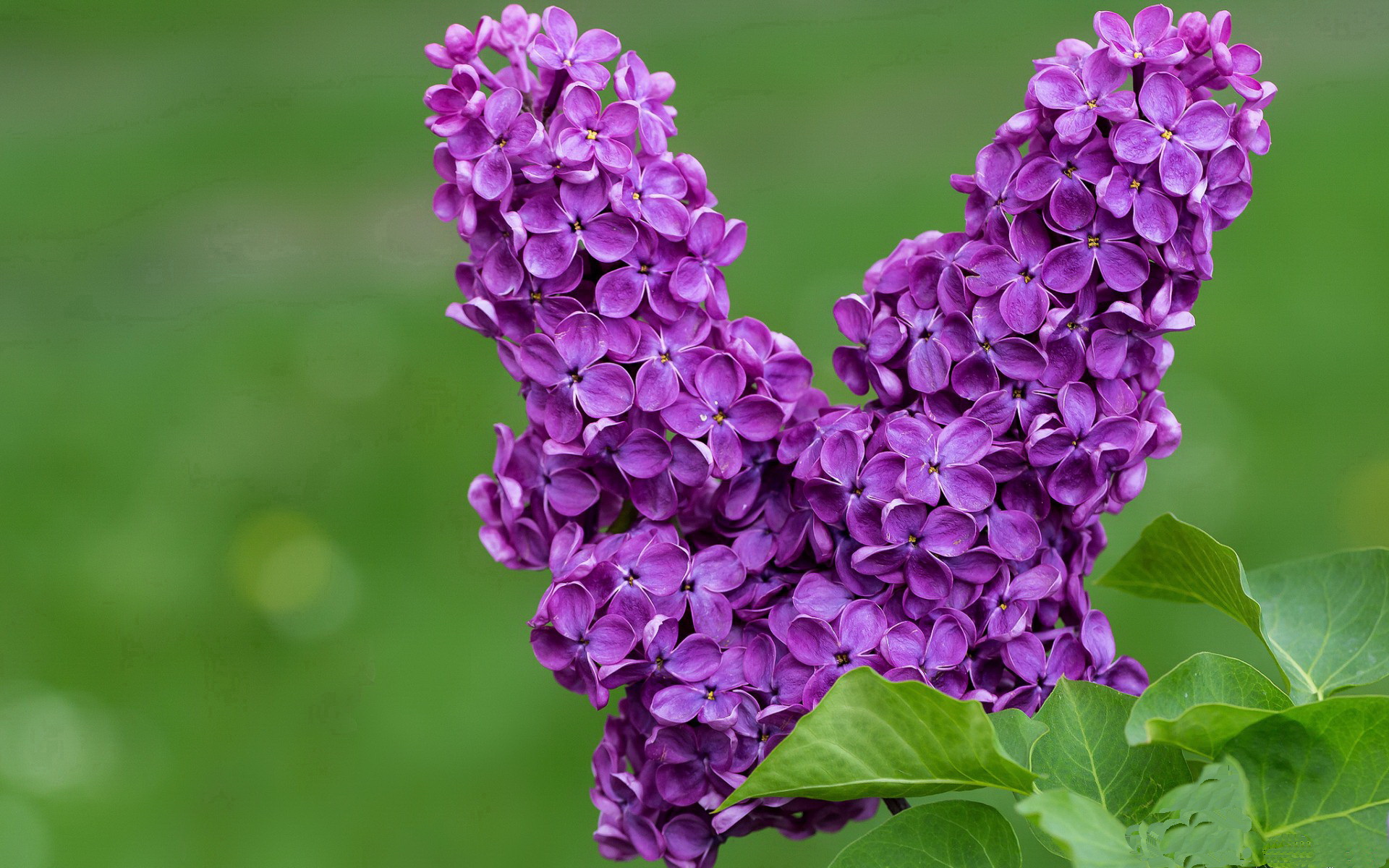 开云体育官方-指挥中心大升级，赛事运行效率再提升，指挥中心有什么用